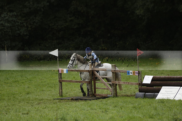 Chiddingfold, Leconfield and Cowdray Hunt, Hunter Trials at Iping on Sunday 20 October 2013. 2013.10.20 www.polopictures.co.uk