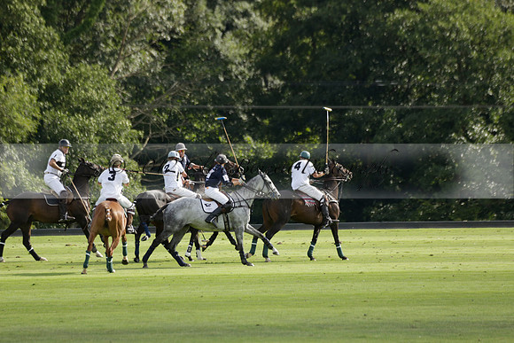 Pandas (white) v Home Farm (navy) in a Park House West Sussex Cup Polo match on Brooksfield at Cowdray Park Polo Club on Friday 30 August 2013. 2013.08.30 www.polopictures.co.uk