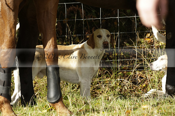 Devon & Somerset StagHounds meet at Five Cross Ways on Thursday 17 October 2013. 2013.10.17 www.polopictures.co.uk