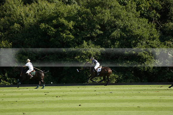Pandas (white) v Home Farm (navy) in a Park House West Sussex Cup Polo match on Brooksfield at Cowdray Park Polo Club on Friday 30 August 2013. 2013.08.30 www.polopictures.co.uk
