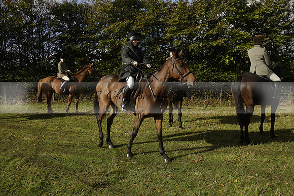 Devon & Somerset StagHounds meet at Five Cross Ways on Thursday 17 October 2013. 2013.10.17 www.polopictures.co.uk