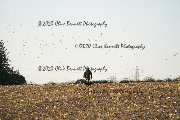 _CAB0554