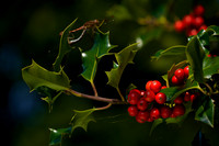 _CAB9291