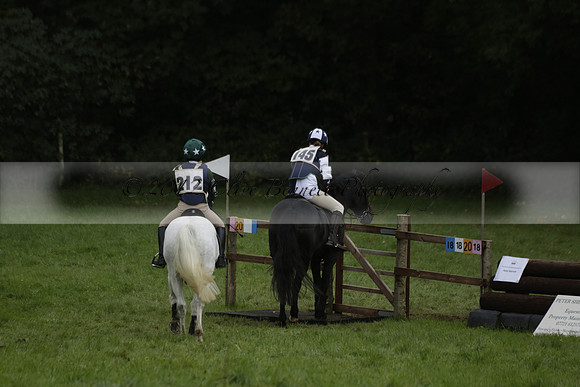 Chiddingfold, Leconfield and Cowdray Hunt, Hunter Trials at Iping on Sunday 20 October 2013. 2013.10.20 www.polopictures.co.uk