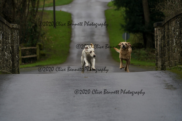 _CAB7695