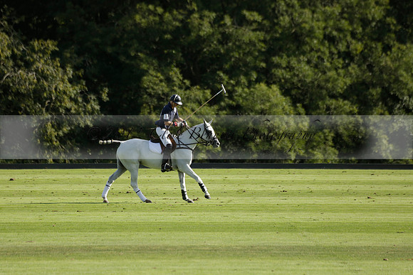 Pandas (white) v Home Farm (navy) in a Park House West Sussex Cup Polo match on Brooksfield at Cowdray Park Polo Club on Friday 30 August 2013. 2013.08.30 www.polopictures.co.uk