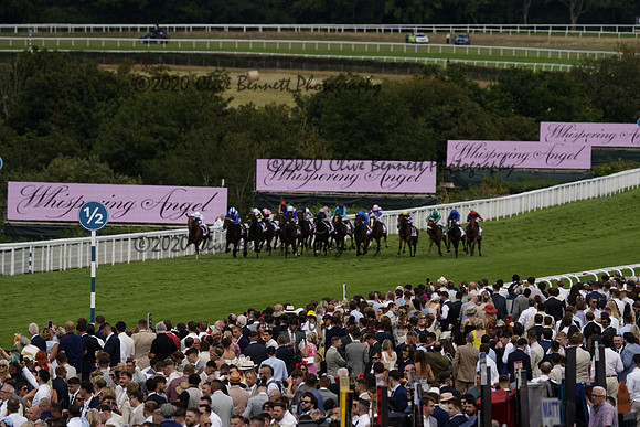 _CAB0382