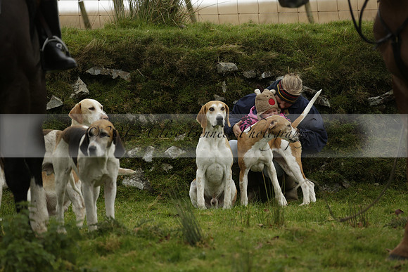 Devon & Somerset Staghounds meet at Larkbarrow Corner. North Devon. 2013.10.18 www.polopictures.co.uk