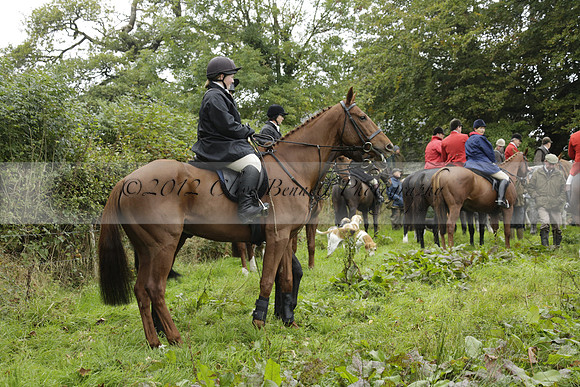 Devon & Somerset Stag Hounds meet at Liscombe on Saturday 12 October 2013 2013.10.12 www.polopictures.co.uk