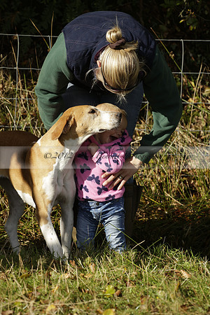 Devon & Somerset StagHounds meet at Five Cross Ways on Thursday 17 October 2013. 2013.10.17 www.polopictures.co.uk