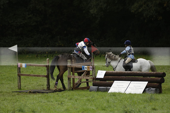 Chiddingfold, Leconfield and Cowdray Hunt, Hunter Trials at Iping on Sunday 20 October 2013. 2013.10.20 www.polopictures.co.uk