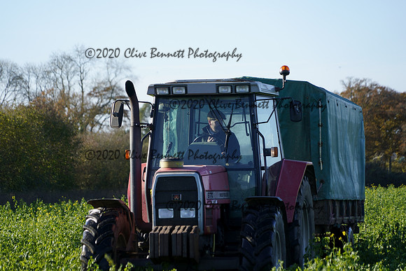 _CAB0611