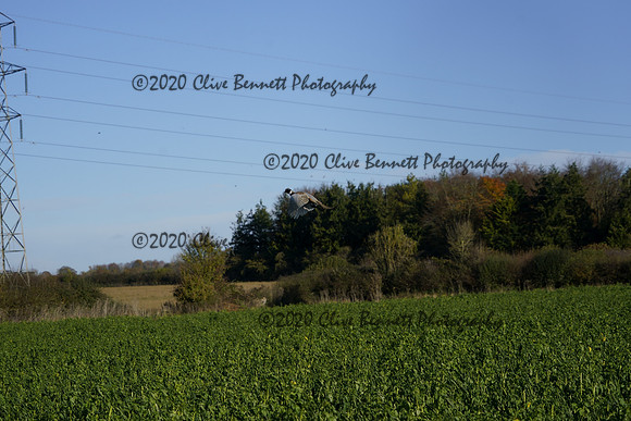 _CAB0644