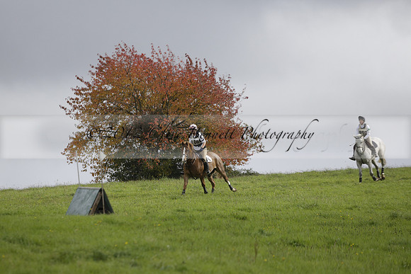 Chiddingfold, Leconfield and Cowdray Hunt, Hunter Trials at Iping on Sunday 20 October 2013. 2013.10.20 www.polopictures.co.uk