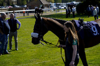 Race 3 The Betgoodwin Handicap Hurdle Race 2025.04.11
