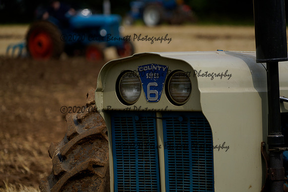 _CAB7173