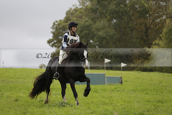 Chiddingfold, Leconfield and Cowdray Hunt, Hunter Trials at Iping on Sunday 20 October 2013. 2013.10.20 www.polopictures.co.uk