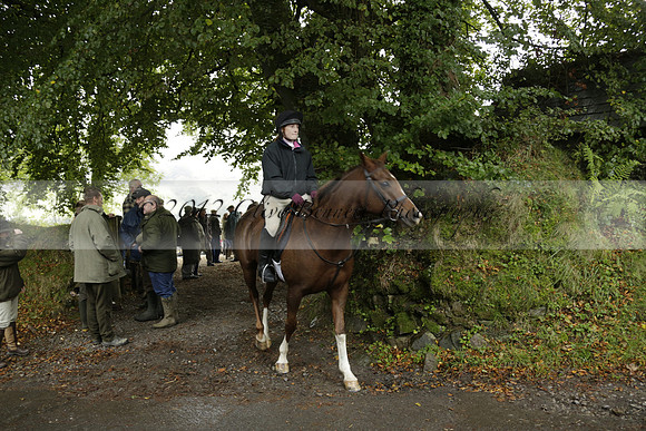 Devon & Somerset Stag Hounds meet at Liscombe on Saturday 12 October 2013 2013.10.12 www.polopictures.co.uk