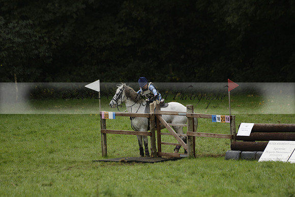 Chiddingfold, Leconfield and Cowdray Hunt, Hunter Trials at Iping on Sunday 20 October 2013. 2013.10.20 www.polopictures.co.uk