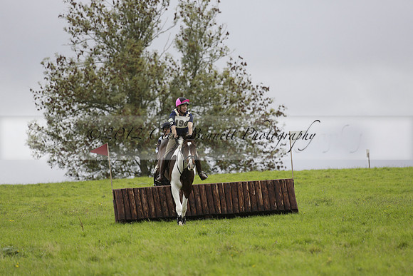 Chiddingfold, Leconfield and Cowdray Hunt, Hunter Trials at Iping on Sunday 20 October 2013. 2013.10.20 www.polopictures.co.uk