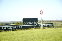 Race 7 The Flying School at Goodwood Stakes 2016.08.30