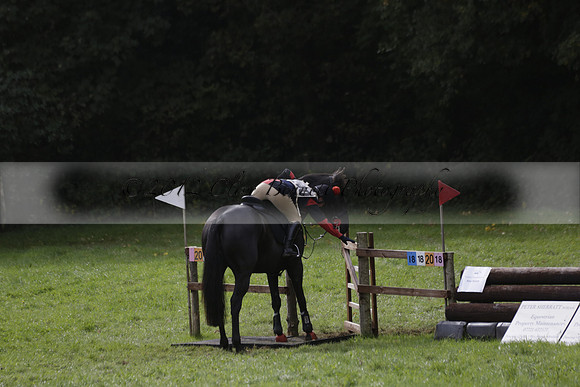 Chiddingfold, Leconfield and Cowdray Hunt, Hunter Trials at Iping on Sunday 20 October 2013. 2013.10.20 www.polopictures.co.uk