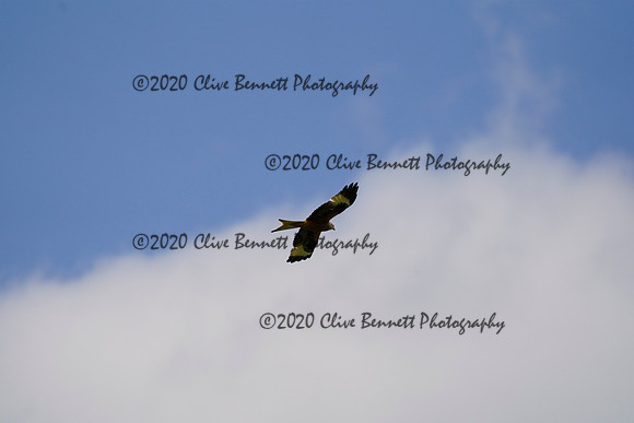 _CAB0968