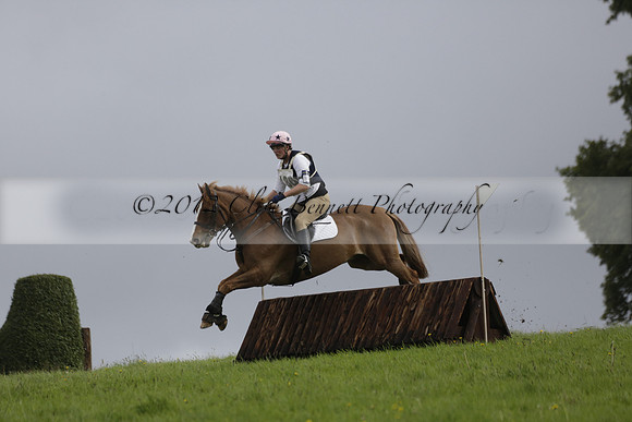 Chiddingfold, Leconfield and Cowdray Hunt, Hunter Trials at Iping on Sunday 20 October 2013. 2013.10.20 www.polopictures.co.uk