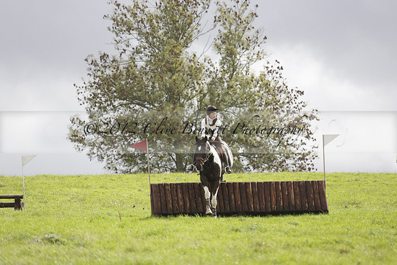 Chiddingfold, Leconfield and Cowdray Hunt, Hunter Trials at Iping on Sunday 20 October 2013. 2013.10.20 www.polopictures.co.uk
