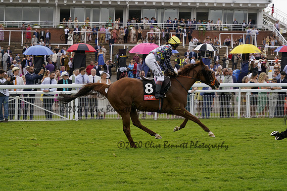 _CAB1547