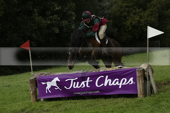 Chiddingfold, Leconfield and Cowdray Hunt, Hunter Trials at Iping on Sunday 20 October 2013. 2013.10.20 www.polopictures.co.uk