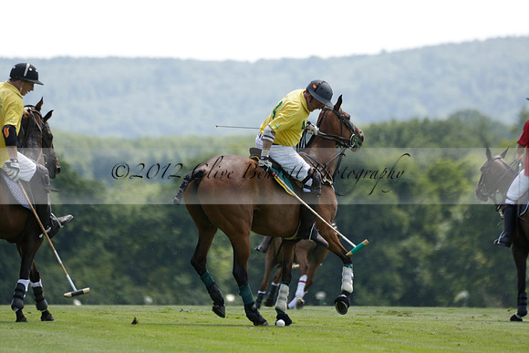 Maiz Dulce v Emlor in a Barrett Cup Polo match 2013.06.30