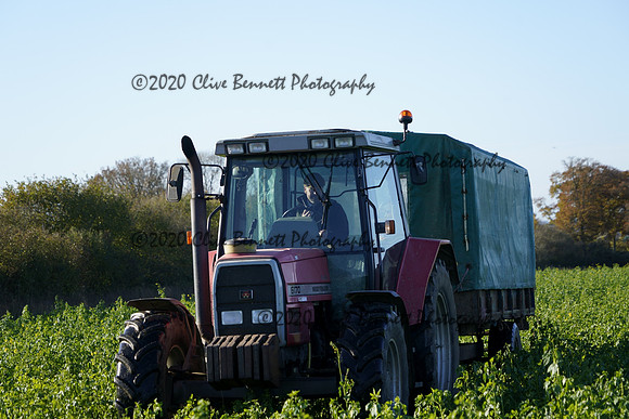 _CAB0613