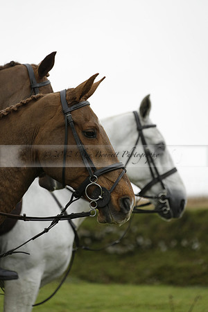 Devon & Somerset Staghounds meet at Larkbarrow Corner. North Devon. 2013.10.18 www.polopictures.co.uk