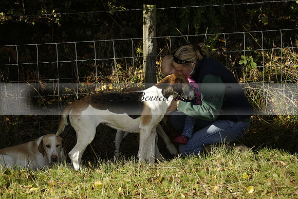 Devon & Somerset StagHounds meet at Five Cross Ways on Thursday 17 October 2013. 2013.10.17 www.polopictures.co.uk