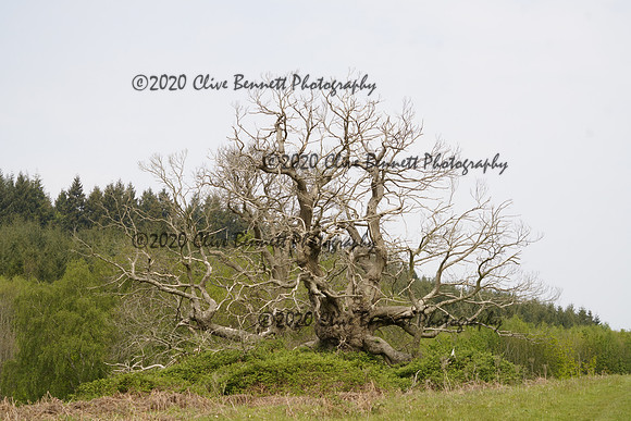 _CAB0064