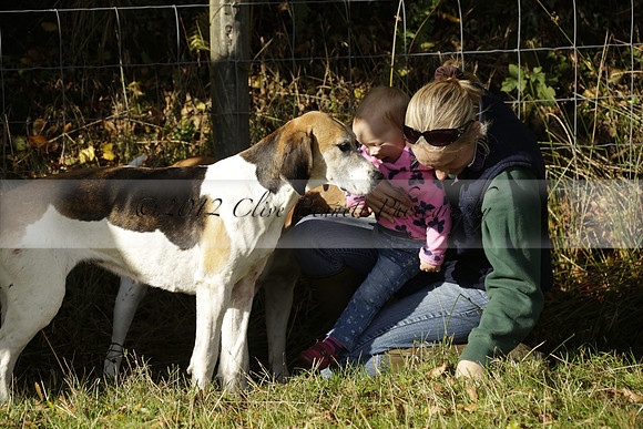 Devon & Somerset StagHounds meet at Five Cross Ways on Thursday 17 October 2013. 2013.10.17 www.polopictures.co.uk