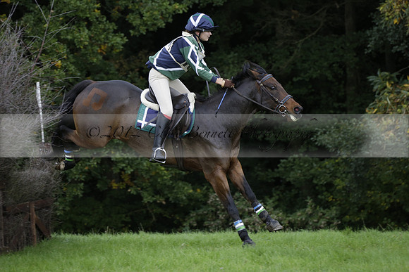 Chiddingfold, Leconfield and Cowdray Hunt, Hunter Trials at Iping on Sunday 20 October 2013. 2013.10.20 www.polopictures.co.uk