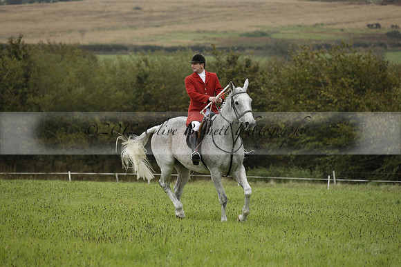 Devon & Somerset Stag Hounds meet at Hillhead Cross on Monday 14 October 2013. 2013.10.14 www.polopictures.co.uk