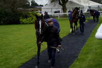 Race 3 The BetGoodwin Novices Handicap Hurdle Race 2024.12.10