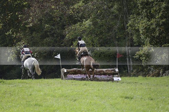 Chiddingfold, Leconfield and Cowdray Hunt, Hunter Trials at Iping on Sunday 20 October 2013. 2013.10.20 www.polopictures.co.uk