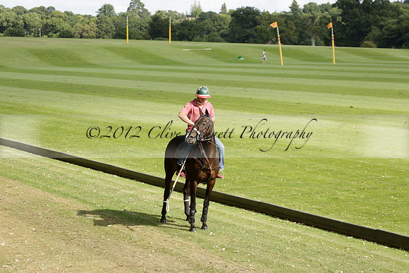 Pandas (white) v Home Farm (navy) in a Park House West Sussex Cup Polo match on Brooksfield at Cowdray Park Polo Club on Friday 30 August 2013. 2013.08.30 www.polopictures.co.uk