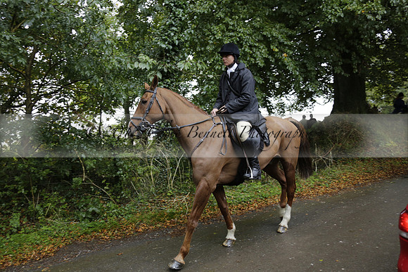 Devon & Somerset Stag Hounds meet at Liscombe on Saturday 12 October 2013 2013.10.12 www.polopictures.co.uk
