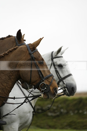 Devon & Somerset Staghounds meet at Larkbarrow Corner. North Devon. 2013.10.18 www.polopictures.co.uk