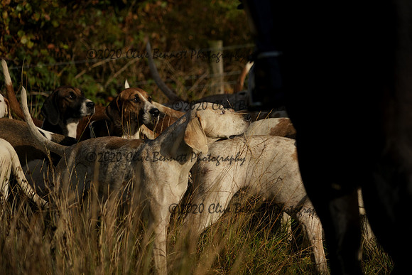 _CAB9071