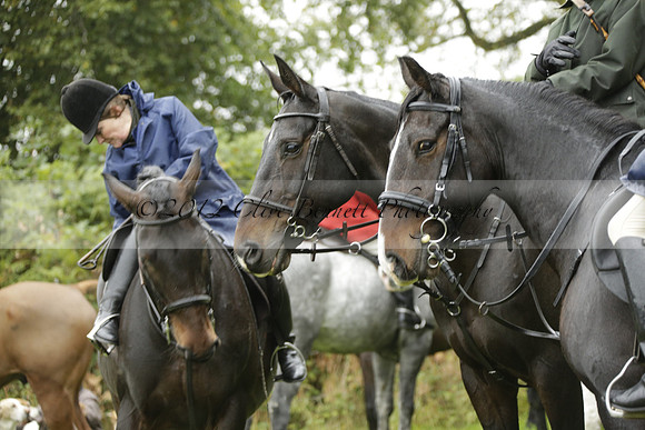 Devon & Somerset Stag Hounds meet at Liscombe on Saturday 12 October 2013 2013.10.12 www.polopictures.co.uk