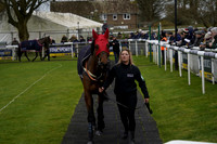 Race 3 The Star Sports National Spirit Hurdle Race 2025.02.23