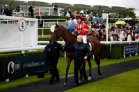 Race 2 The Chichester City Selling Stakes 2016.08.28